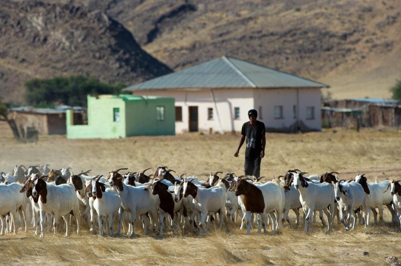 TwyfelfonteinWilderness Safaris Damaraland Camp别墅 外观 照片
