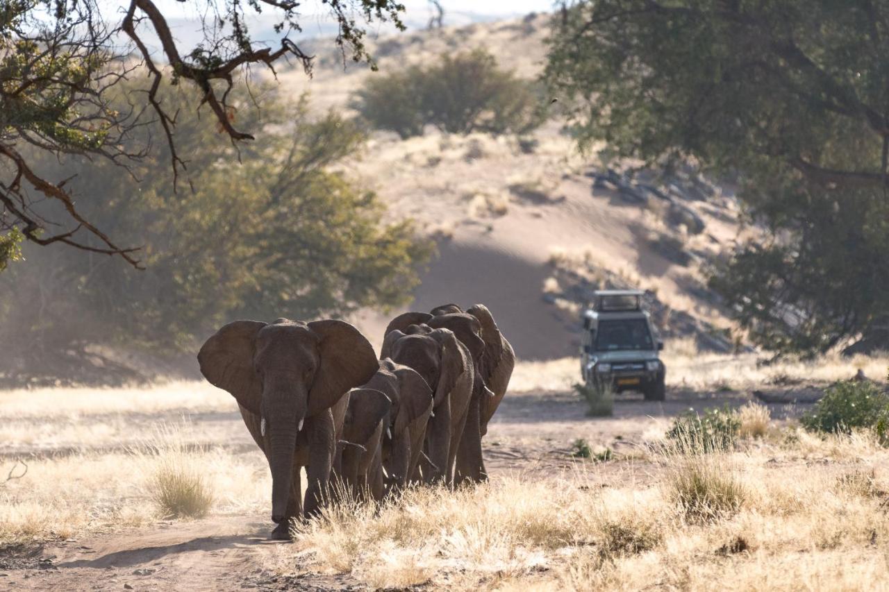 TwyfelfonteinWilderness Safaris Damaraland Camp别墅 外观 照片